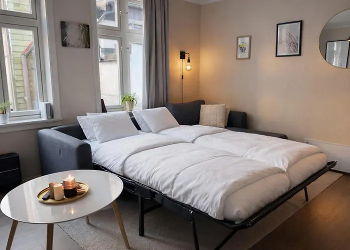 Twin Flats 1st Floor In Centre - Norwegians Minimum Age 25 * Bergen